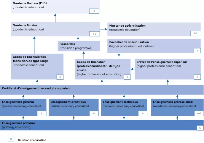This is a chart of the education system of the French community.