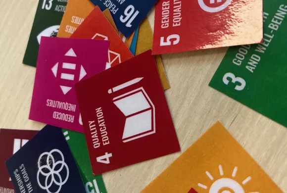 Kaartjes met Sustainable Development Goals van de Verenigde Naties